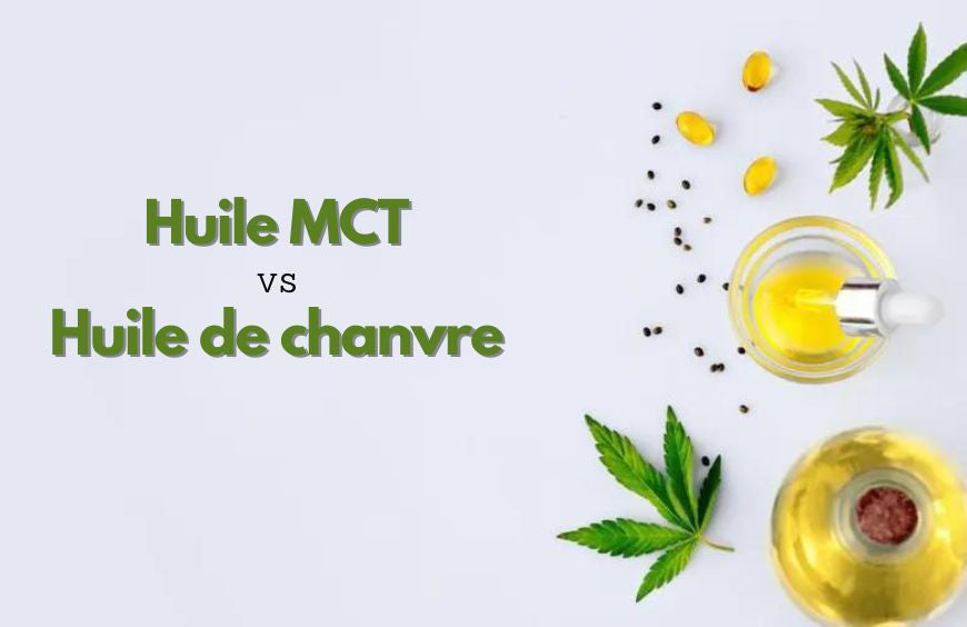 Aceite MCT frente a aceite de cáñamo: ¿cuál es mejor?