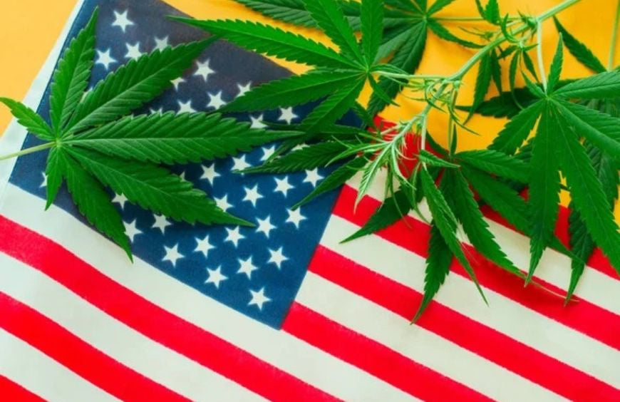 Los estadounidenses consideran el cannabis menos peligroso que el tabaco, el alcohol y los opiáceos