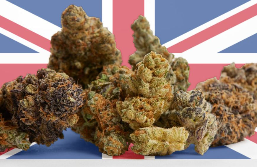 ¡Las flores de CBD ya no son estupefacientes en el Reino Unido!