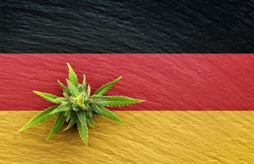 Alemania revisa sus expectativas sobre la legalización del cannabis