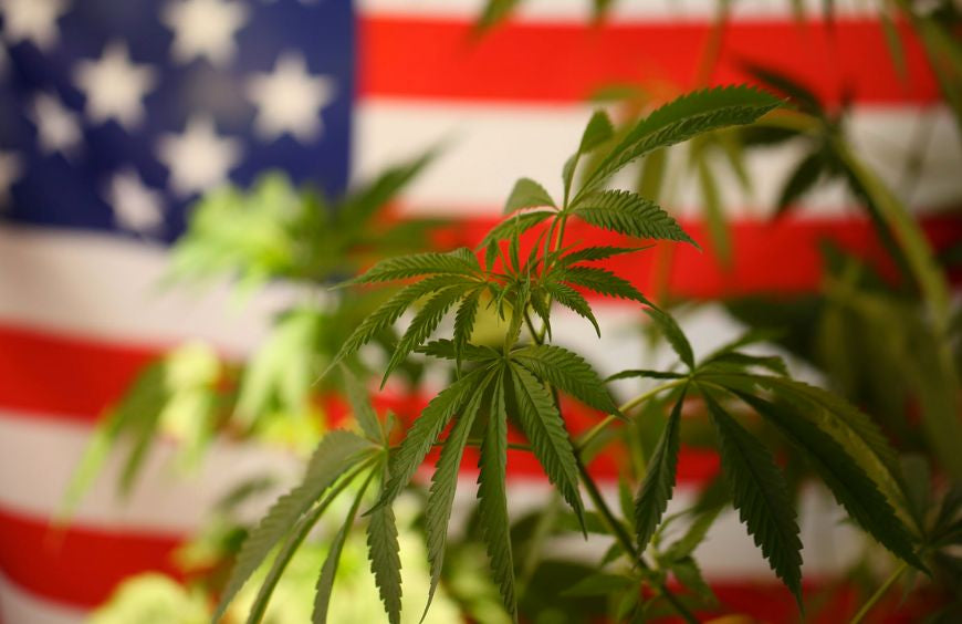 FDA, Congreso, CBD... ¿Qué está pasando en EE.UU.?