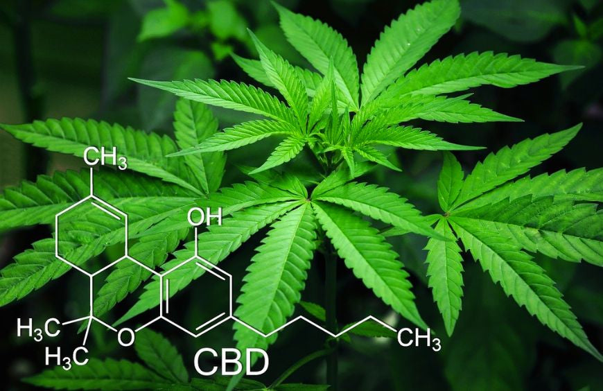 ¿Es el CBD una droga?