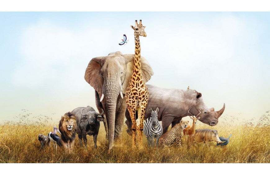 Un parque de animales utiliza CBD