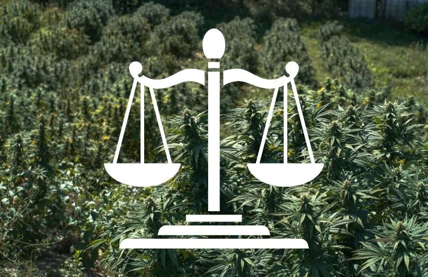 CBD en los principales países: ¿legal o no?
