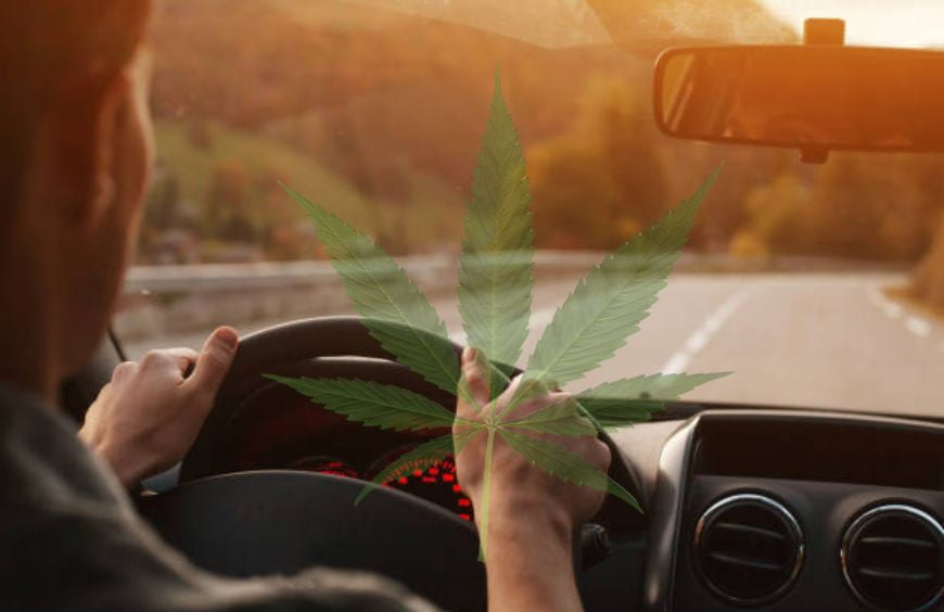 ¿Se puede conducir después de tomar CBD?