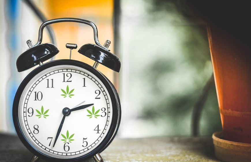 ¿Cuándo es el mejor momento para tomar CBD?