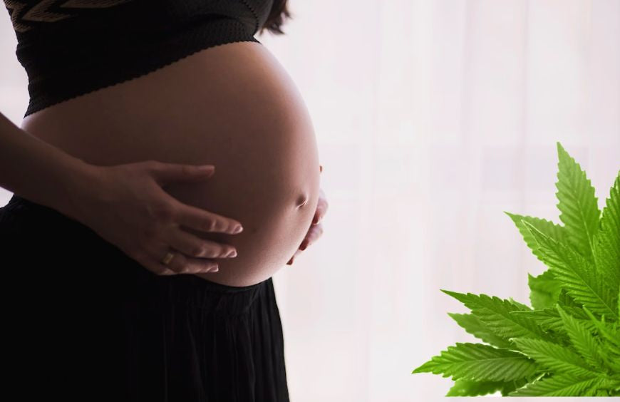 ¿Cómo afecta el cannabis al embarazo?