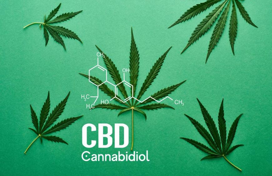 El CBD en el punto de mira: Comprender su creciente atractivo