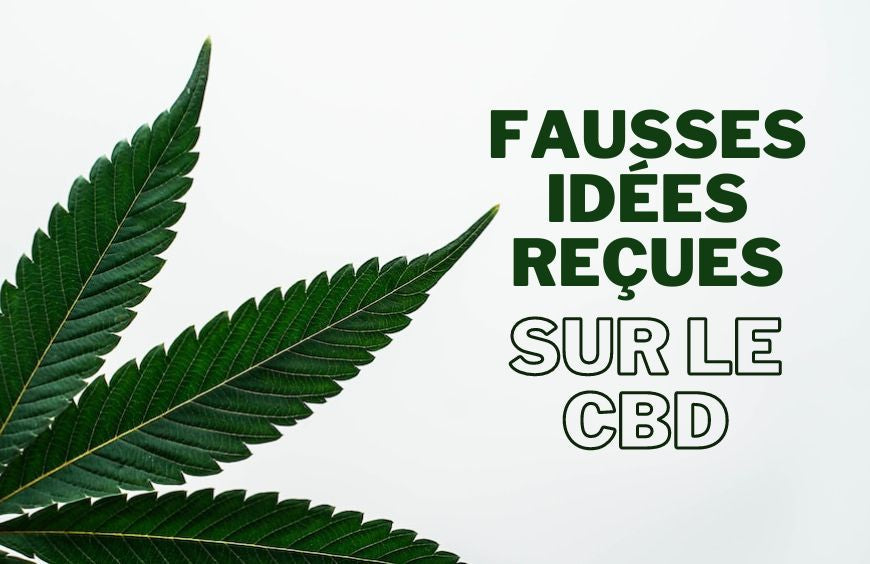 Estos conceptos erróneos sobre el CBD