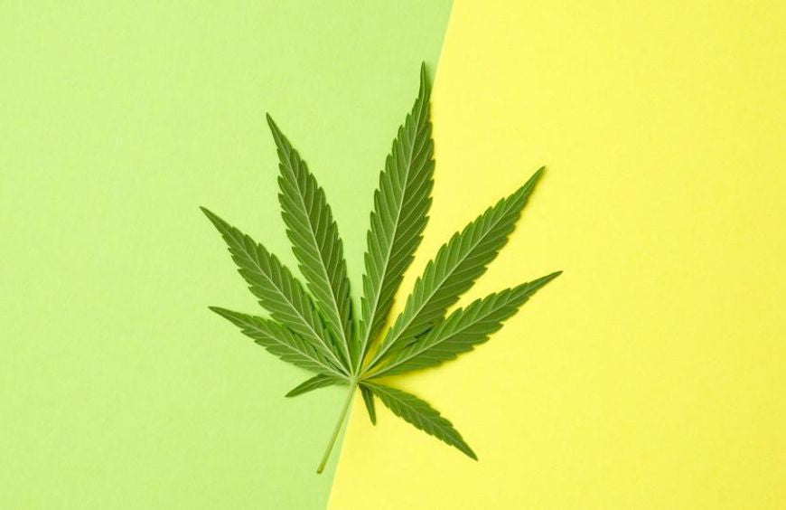 HHC y THC, ¿cuáles son las diferencias?