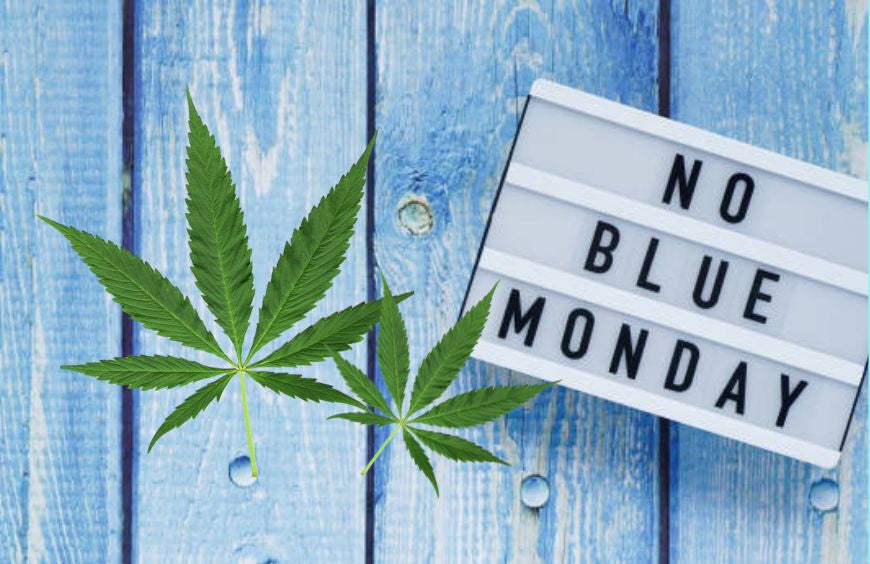 ¿Cómo superar la tristeza del Blue Monday?