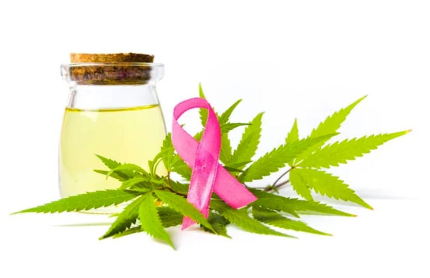 ¿Puede el consumo de CBD ayudar a prevenir el cáncer?