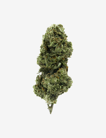 Biscotti CBD