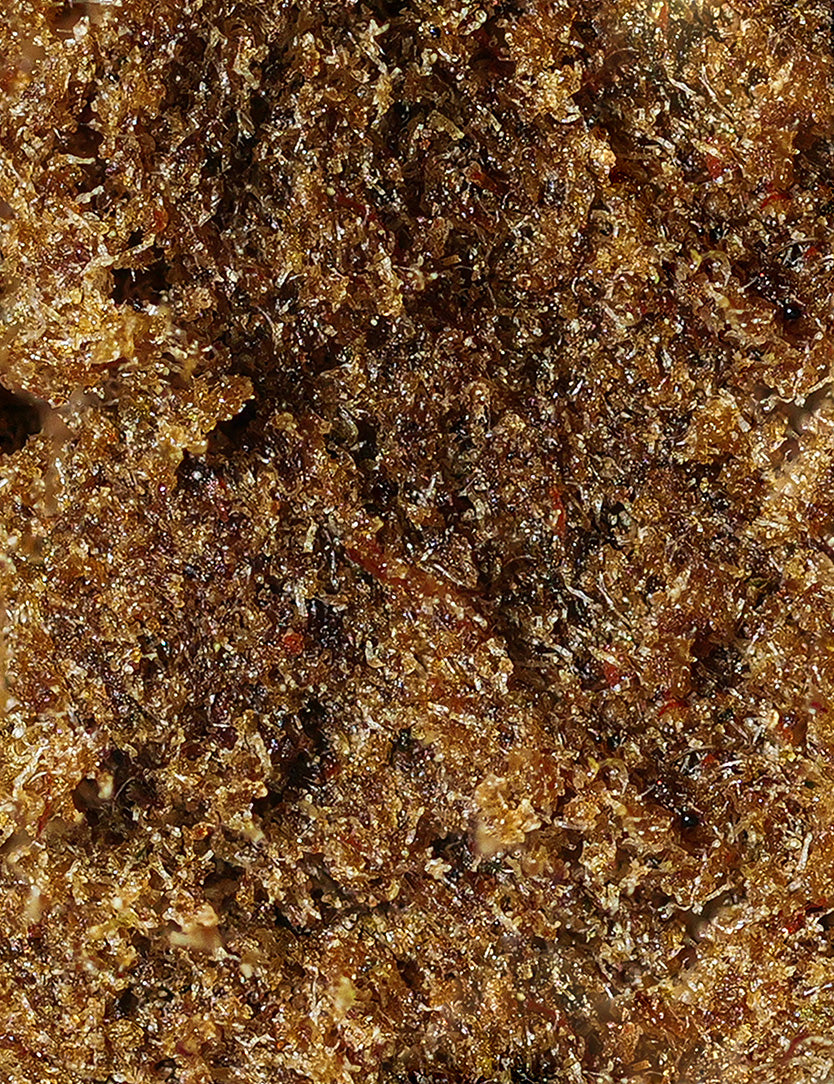 Crema de resina CBD Amnesia