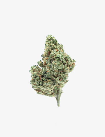 Amnesia CBD