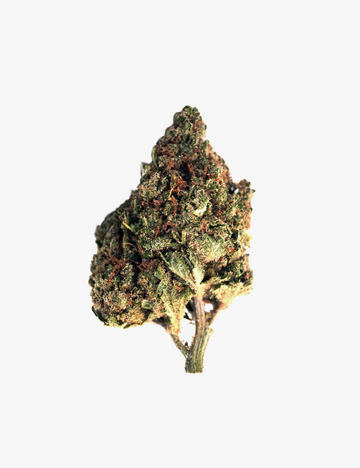 Blue Dream CBD