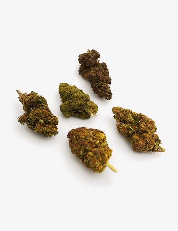 Pack Descubrimiento Flores CBD