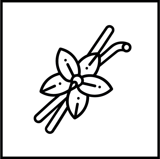 insignia