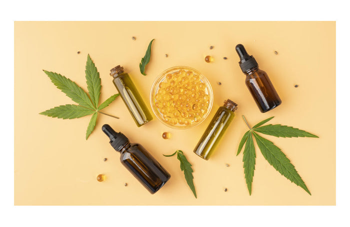 Todo sobre el cáñamo