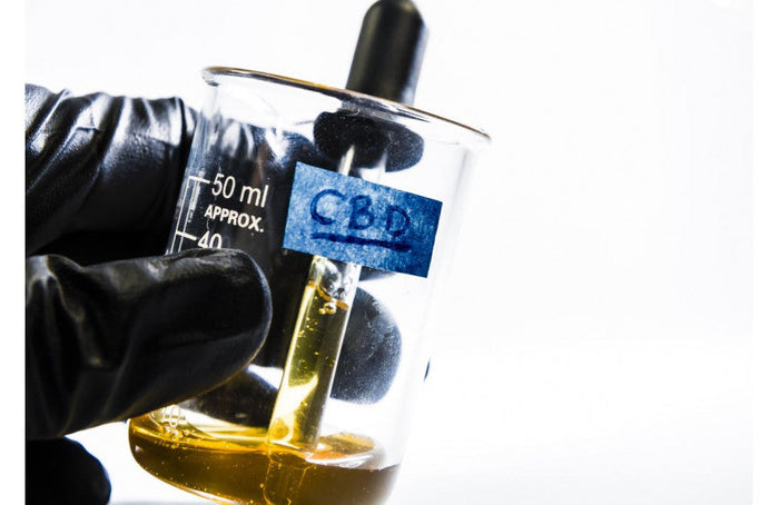 ¿Qué es el aceite de CBD?