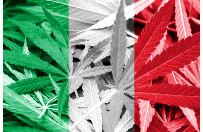 Italia: las flores de CBD han reducido las ventas de sedantes y antidepresivos