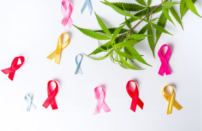 1/3 de los pacientes canadienses de cáncer consumen cannabis
