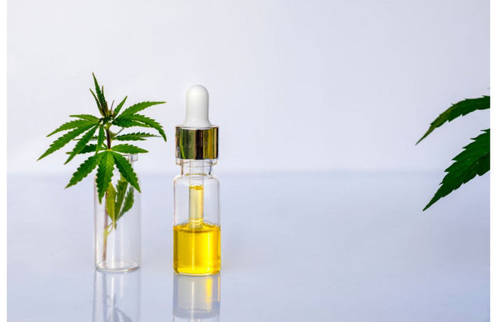 ¿Cómo elijo el aceite de CBD adecuado?