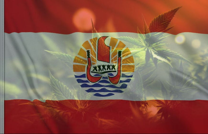 ¿Y si la Polinesia allanara el camino para que Francia legalizara el cannabis?