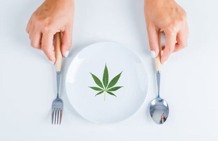 ¿Debe tomarse el CBD con el estómago vacío?