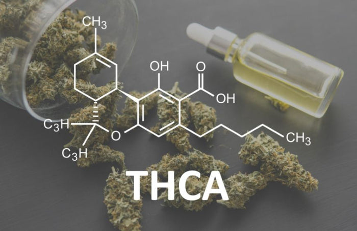 ¿Qué es el THCA?