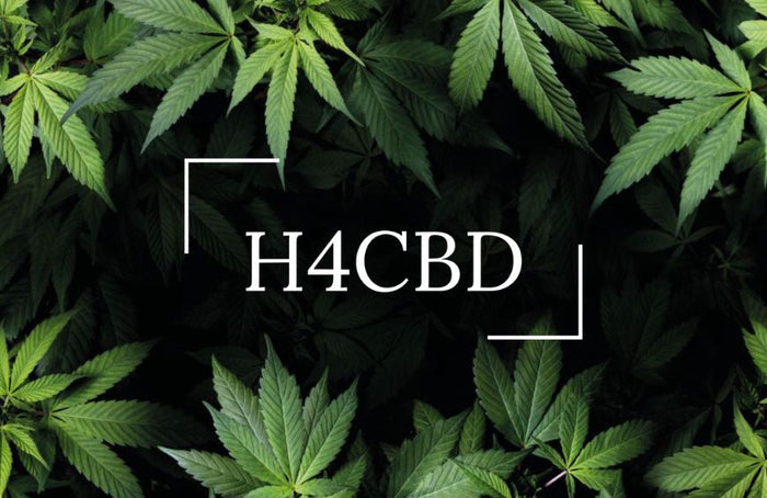 H4CBD: ¿cuáles son los beneficios de este nuevo cannabinoide?