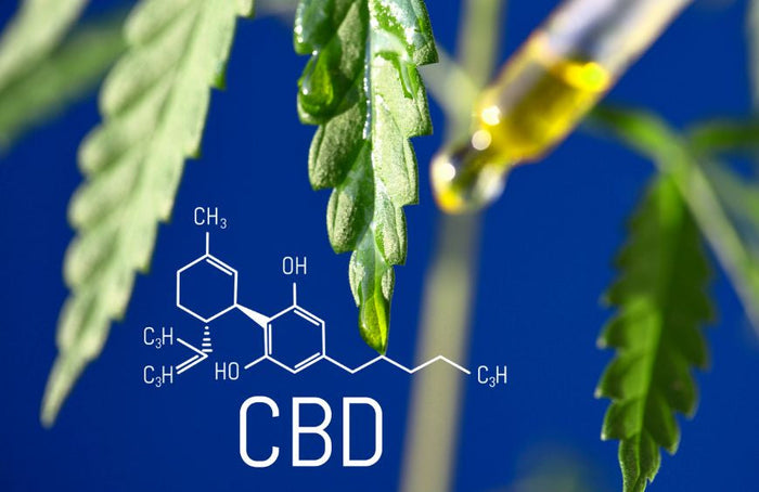 La importancia de encontrar la dosis adecuada de CBD