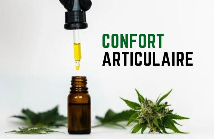 Recuperar el bienestar articular con aceite de CBD