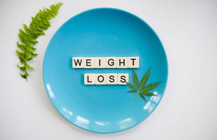 ¿Por qué el CBD ayuda a perder peso de forma natural?