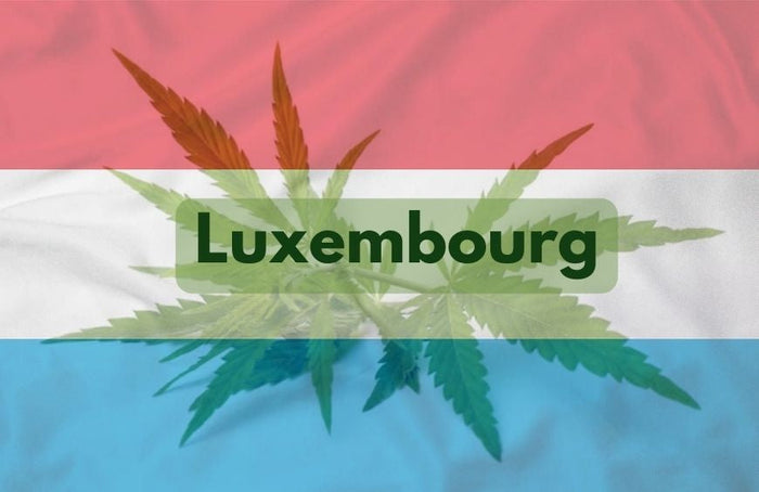 Luxemburgo avanza lentamente hacia la legalización del cannabis