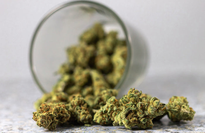 Todo lo que debe saber sobre el THCP