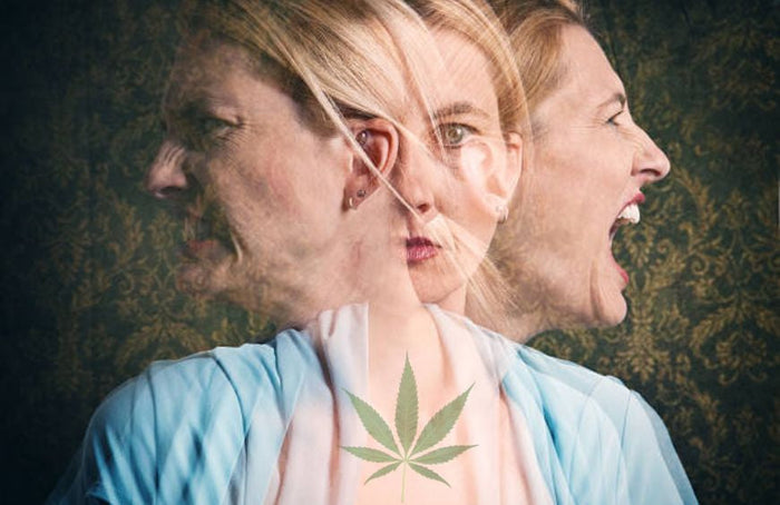 Trastornos del estado de ánimo: ¿por qué el CBD podría ser una solución?