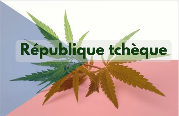 La República Checa avanza hacia la legalización del cannabis