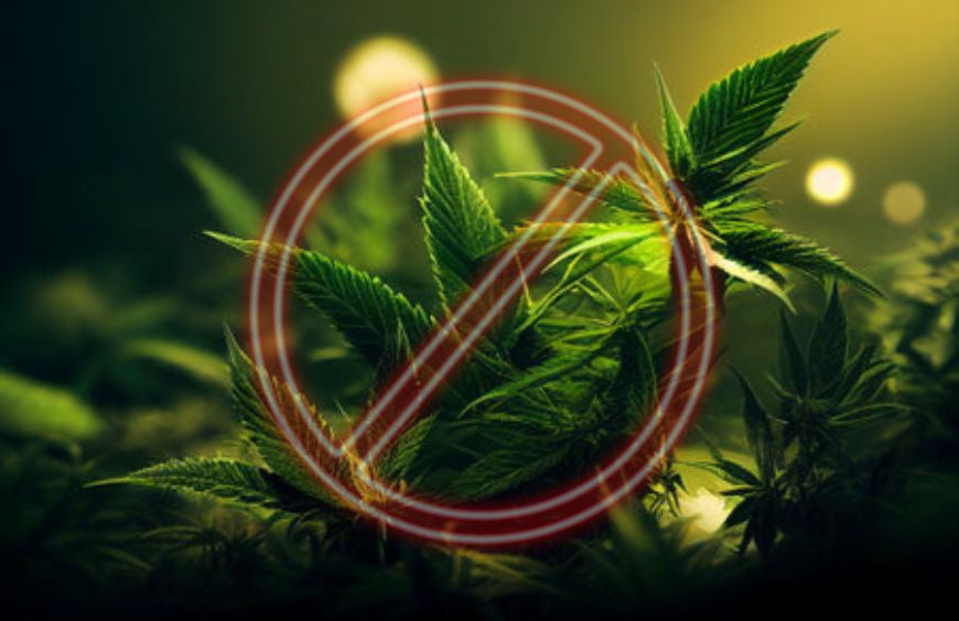 ¿Qué CBD está prohibido?