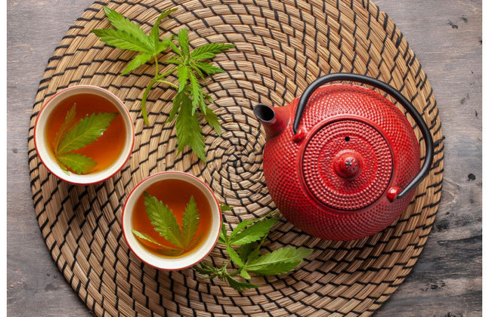 Tutorial: ¿cómo hacer té de CBD?