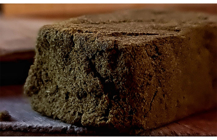 Los famosos también van a la CBD