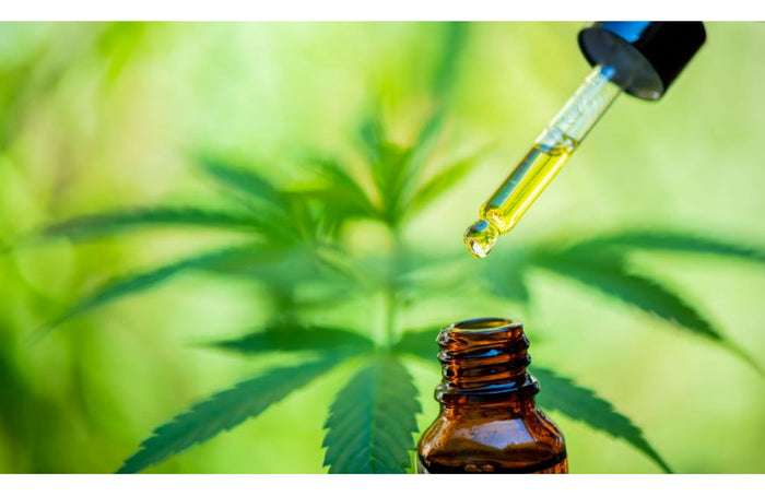 Aceite de CBD: ¿cuánto debo consumir?