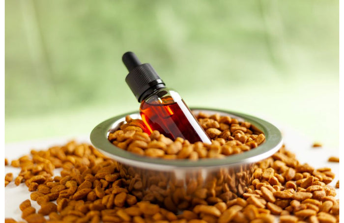 Aceite de CBD para animales: efectos y dosis