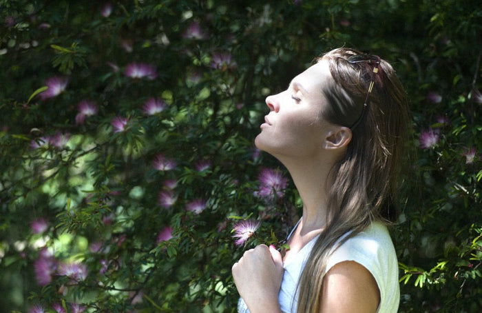 CBD: tu aliado definitivo para el bienestar