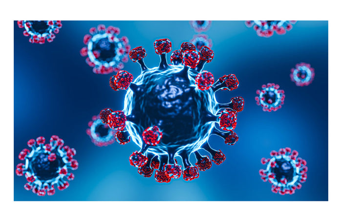 CBD y COVID: ¿la solución milagrosa para reducir la inflamación y la ansiedad?