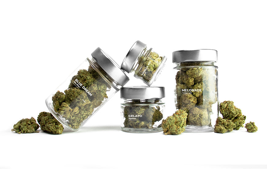 TOP 6 de las variedades de flores de CBD más vendidas del año