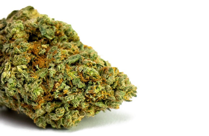 ¿De dónde procede el característico olor a mofeta del cannabis?