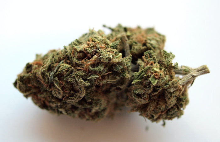 El Consejo de Estado falla a favor de CBD