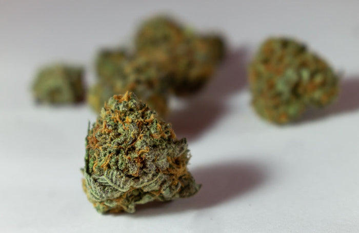 ¿Cómo elijo flores de CBD de calidad?