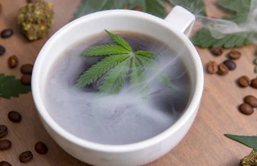 ¿Cómo se prepara una infusión de CBD?